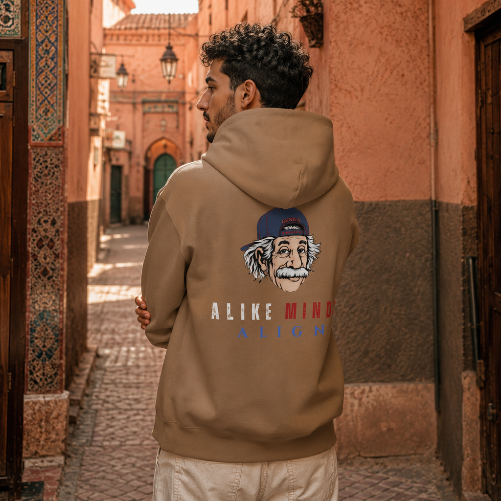 ALIKE MINDS ALIGN AB OVERSIZED HW HOODIE