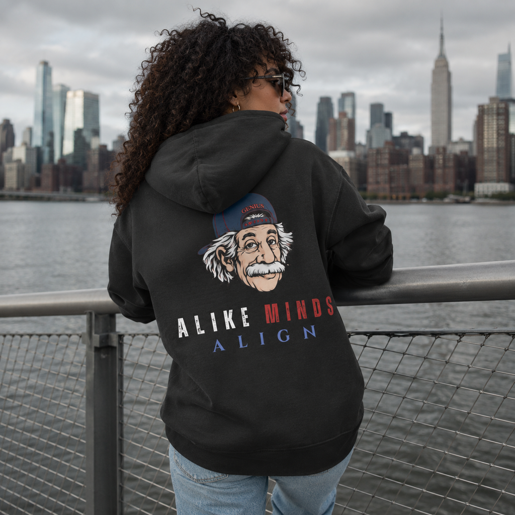 ALIKE MINDS ALIGN AB OVERSIZED HW HOODIE
