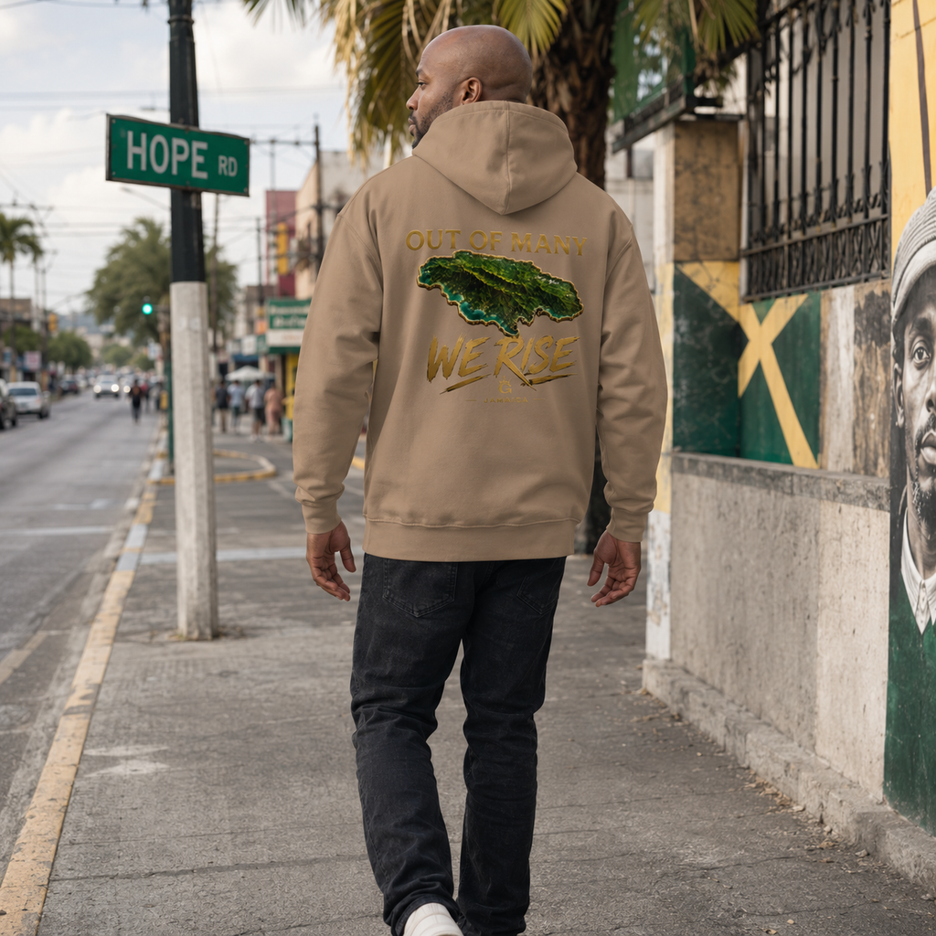 OUT OF MANY WE RISE HOODIE