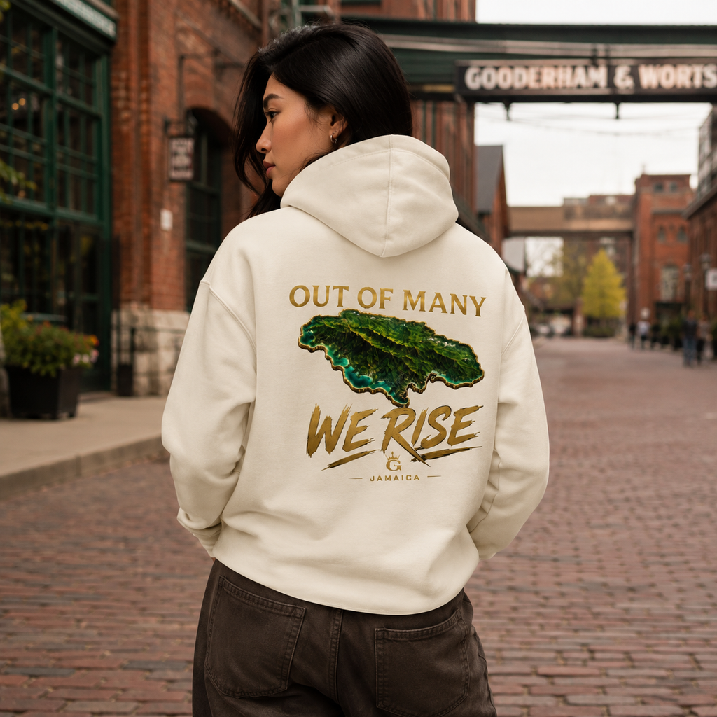 OUT OF MANY WE RISE HOODIE