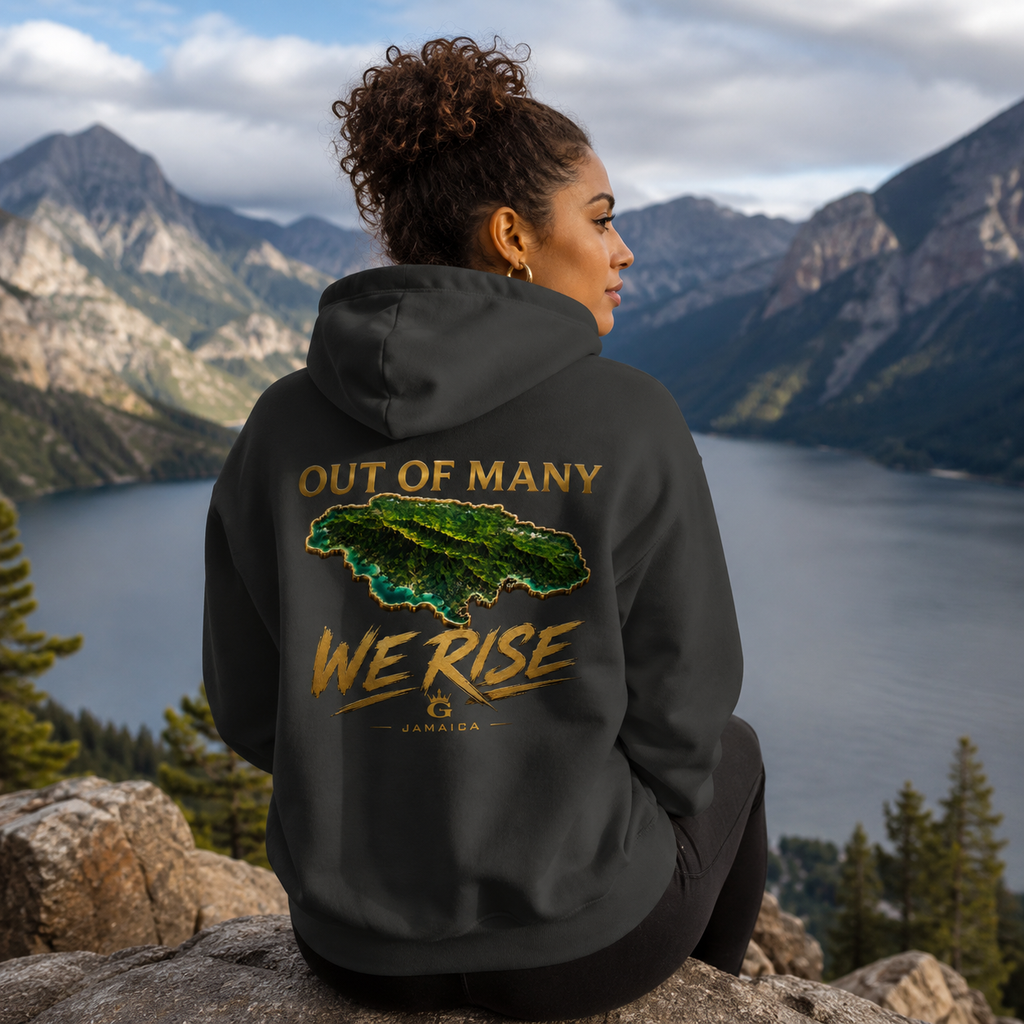 OUT OF MANY WE RISE HOODIE